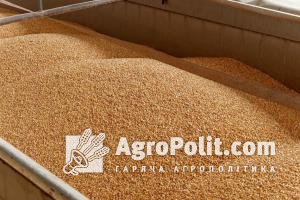 Російські окупанти присвоїли майже 6 млн т пшениці, яка була зібрана на окупованих територіях