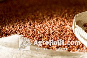 В компанії АГРОСЕРТ оцінили якість насіння, яке представлене на українському ринку