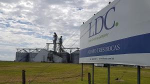 Louis Dreyfus Company є однією із чотирьох компаній, які домінують у світовій торгівлі сільськогосподарськими товарами