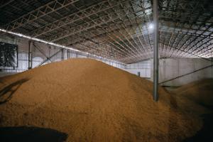 рф продовжує штучно сповільнювати експорт зерна з України морем