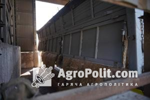 Заборона на імпорт української зернової продукції буде діяти до червня