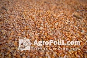 Поставки кукурудзи становлять близько половини вантажів, а пшениці – близько чверті