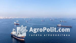 Кожна відправка по зерновій угоді займає в середньому щонайменше дев'ять днів 