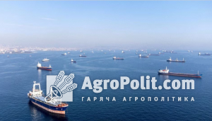 Комерційні судна, включаючи судна, які є частиною Чорноморської зернової угоди
