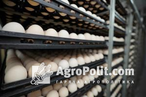 Яйця в минулому році подорожчали на 120% по об’єктивним причинам