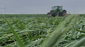 12 аграрних асоціацій України виступили проти проєкту закону №8149