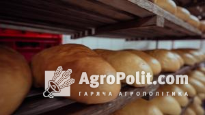 Зміни після підриву ГЕС не матимуть впливу на вартість українського хліба