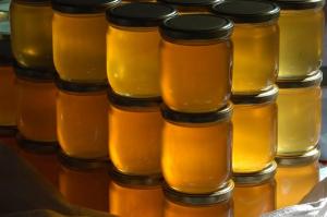 У України є можливість конкурентного постачання меду до країн Європейського Союзу