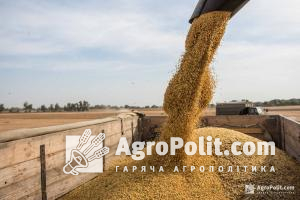 У 2023 році аграрії зможуть зібрати урожай зернових у 46 млн т