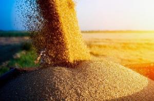Ключовим експортером зерна для росії залишається Китай