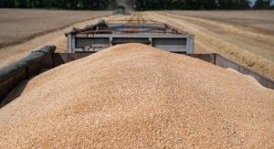 При збереженні імпортних обмежень країнами Євросоюзу, переорієнтація торгівлі зерном ускладниться