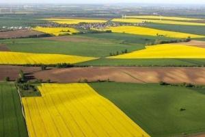 В Україні удосконалять порядок переоформлення права постійного користування земельними ділянками