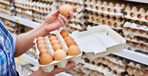 Україна через повномасштабну війну втратила близько 20% виробництва яєць