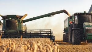 Аграрії України впораються з проблемами, скоротивши посівні площі на 20 – 30%