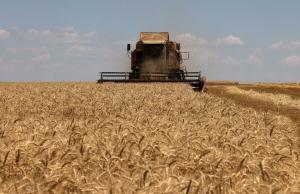 Україна неодноразово закликала Євросоюз скасувати заборону на експорт її зернових