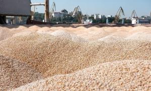 Вперше рф запропонувала «на пільгових умовах» надати 1 млн т зерна для Африки минулого року