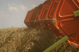 Пшениця на біржі в Чикаго подорожчала на 2,5%