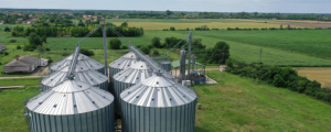 У Брюсселі Польща представила оцінки інвестицій, необхідних для збільшення українського експорту зерна 