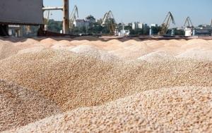 В рамках зернової угоди ООН стала замовником значної кількості зерна