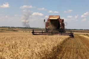 Поставки за зерновою угодою допомогли збільшити глобальні поставки та знизити ціни
