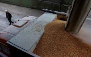 Польща в останні місяці допомогла Україні збільшити транзит зерна