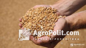 Українське зерно продавали на 20% дешевше за польське