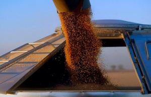 15 вересня Єврокомісія зняла обмеження на експорт українського зерна 
