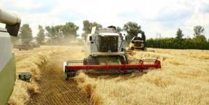 Зернових та зернобобових культур в Україні зібрали 30,5 млн т.
