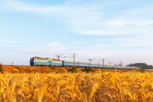 Після нововведень ще більше зерна з України проходило б транзитом через Польщу