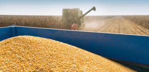Під час дії зернової угоди Україна мала можливість експортувати більші об'єми зерна