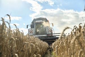 Високий урожай в рф допоміг ще більше знизити ціни на пшеницю