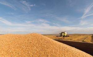 Надзвичайна постанова захищає румунських фермерів від надлишків зерна з України.