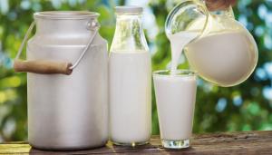 Держава має надати підтримку виробникам молока