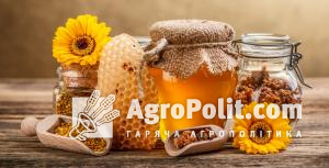 У цьому році загальний об’єм експортованого з України меду на 5 – 10% має перевищити минулорічний показник