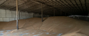У аграріїв виникли проблеми з експортом зерна через блокаду рф портів України