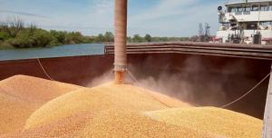 Експорт українського зерна не може становити загрози для аграріїв Литви