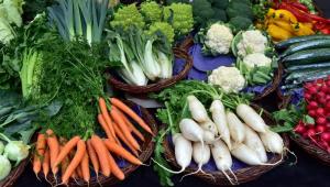 Сезонний чинник і грантова програма для тепличників також має сприяти зниженню цін на овочі