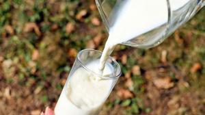 На внутрішньому ринку ціни на молочну продукцію продовжують зростати