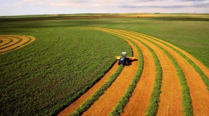 Проект закону пропонує змінити перехідні положення Земельного кодексу України