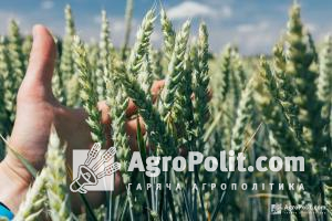 Земля, ГМО і агроекспорт – стали основними темами аграрної законотворчості 