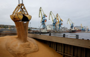 Задокументовано 31 атаку на українську інфраструктуру з виробництва та експорту зерна