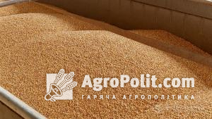 В парламенті прийняли законопроєкт, який змінює правила оподаткування операцій з експорту зерна