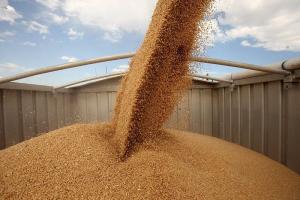 На продовольство та зерно припадає 70% вантажів, що експортують новим коридором