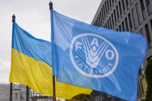 Гранди для фермерів: ФАО та ЄС  запускають фінансову підтримку для відновлення фермерів
