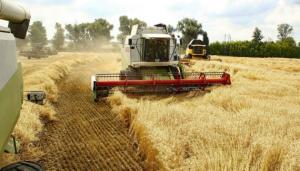 Ціни на пшеницю, кукурудзу та сою падали через поступове вирішення логістичних проблем у Чорному морі