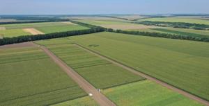 Volodar проводить додатковий набір інвесторів для придбання земель в усіх регіонах кукурудзяного поясу