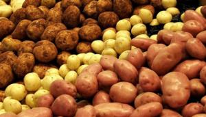 Обставини свідчать про складну динаміку на ринку картоплі