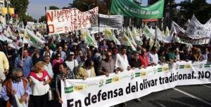 Іспанські фермери протестували по всій країні.