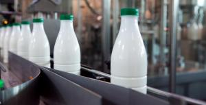 Експорт молочної продукції в Україну сягає 3% від всього польського експорту
