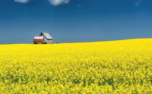 Документ пропонує доповнити статтю 135 Земельного кодексу України